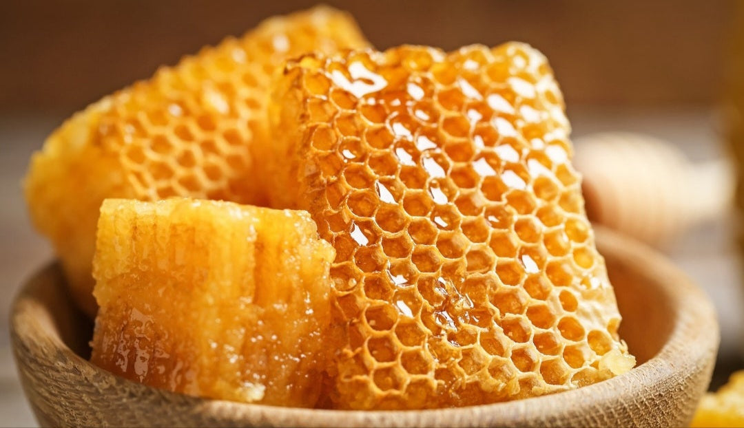 Creamy raw honeycomb from Bosnia’s wildflowers – cold-extracted and unfiltered natural sweetener